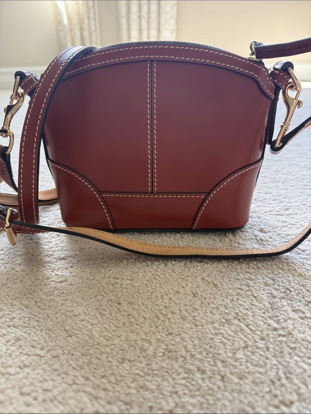 Dooney & Bourke Selleria Florentine Leather Crossbody with Gold Plaque - Picture 2 of 6